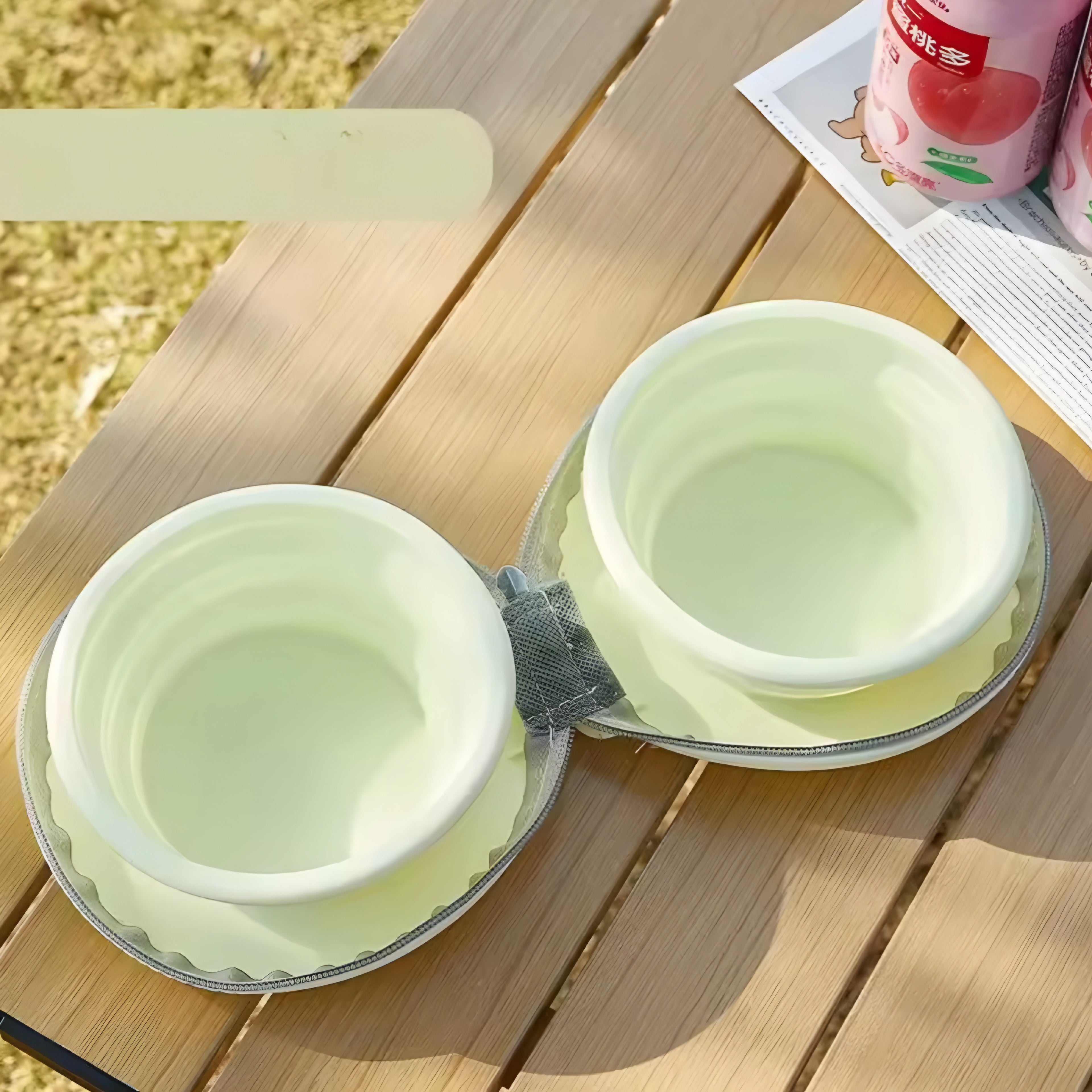 Cuenco Plegable de Silicona 2 en 1 para Perros