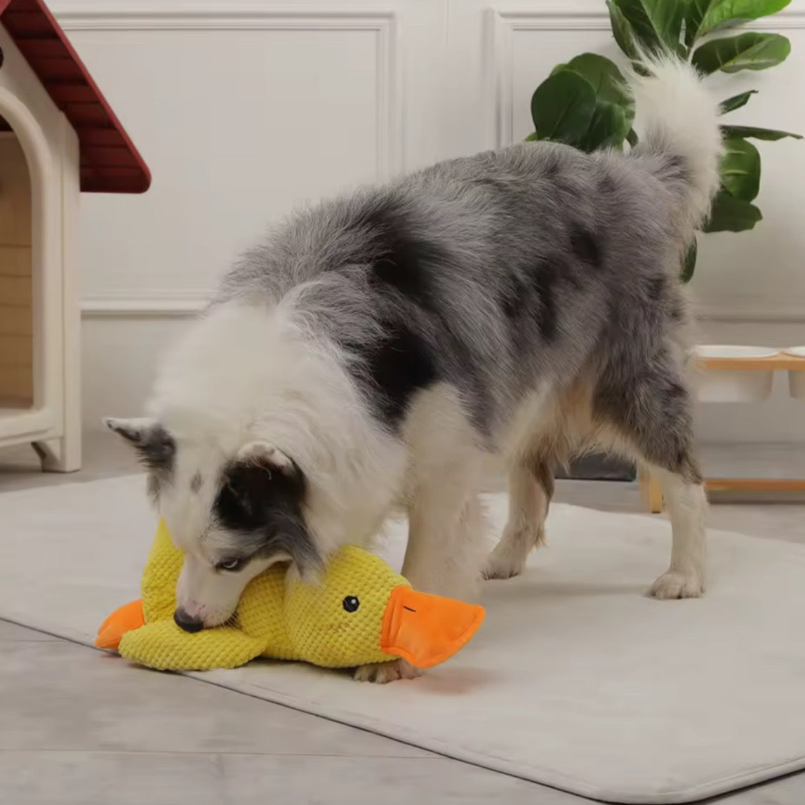 uguete de Pato de Peluche para Perros