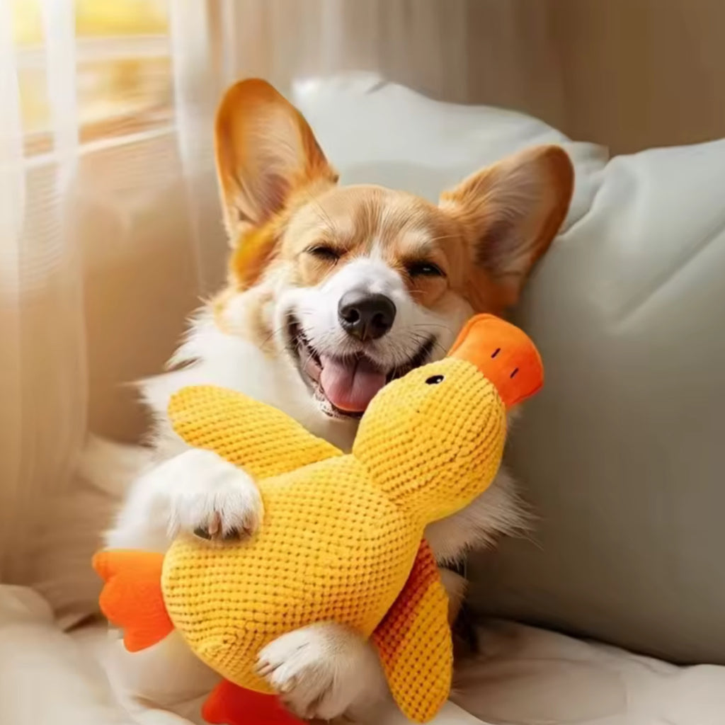 uguete de Pato de Peluche para Perros