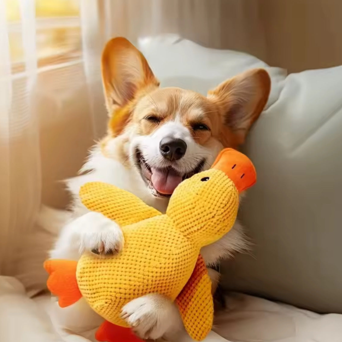 uguete de Pato de Peluche para Perros