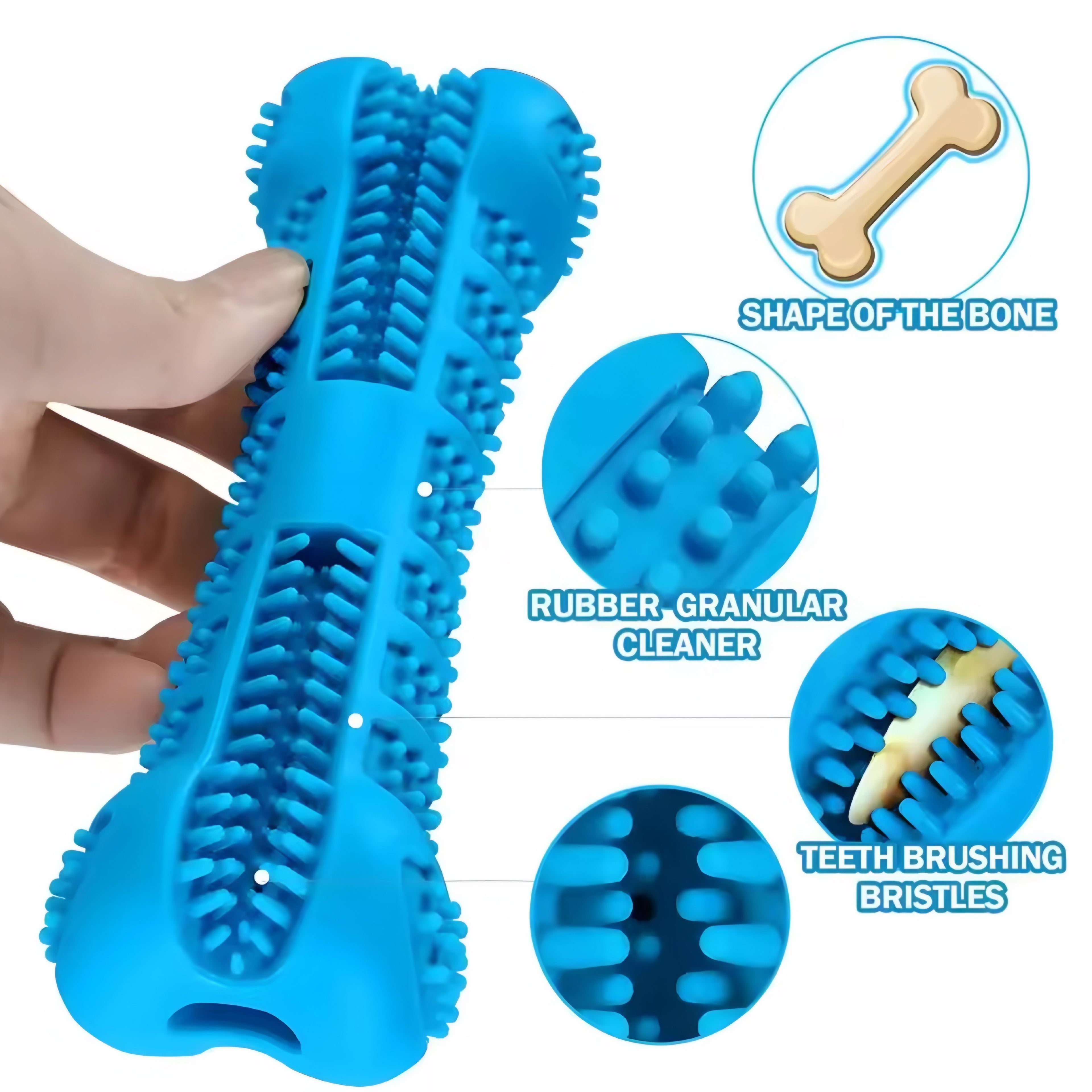 Cepillo de Dientes y Juguete Masticable 360°