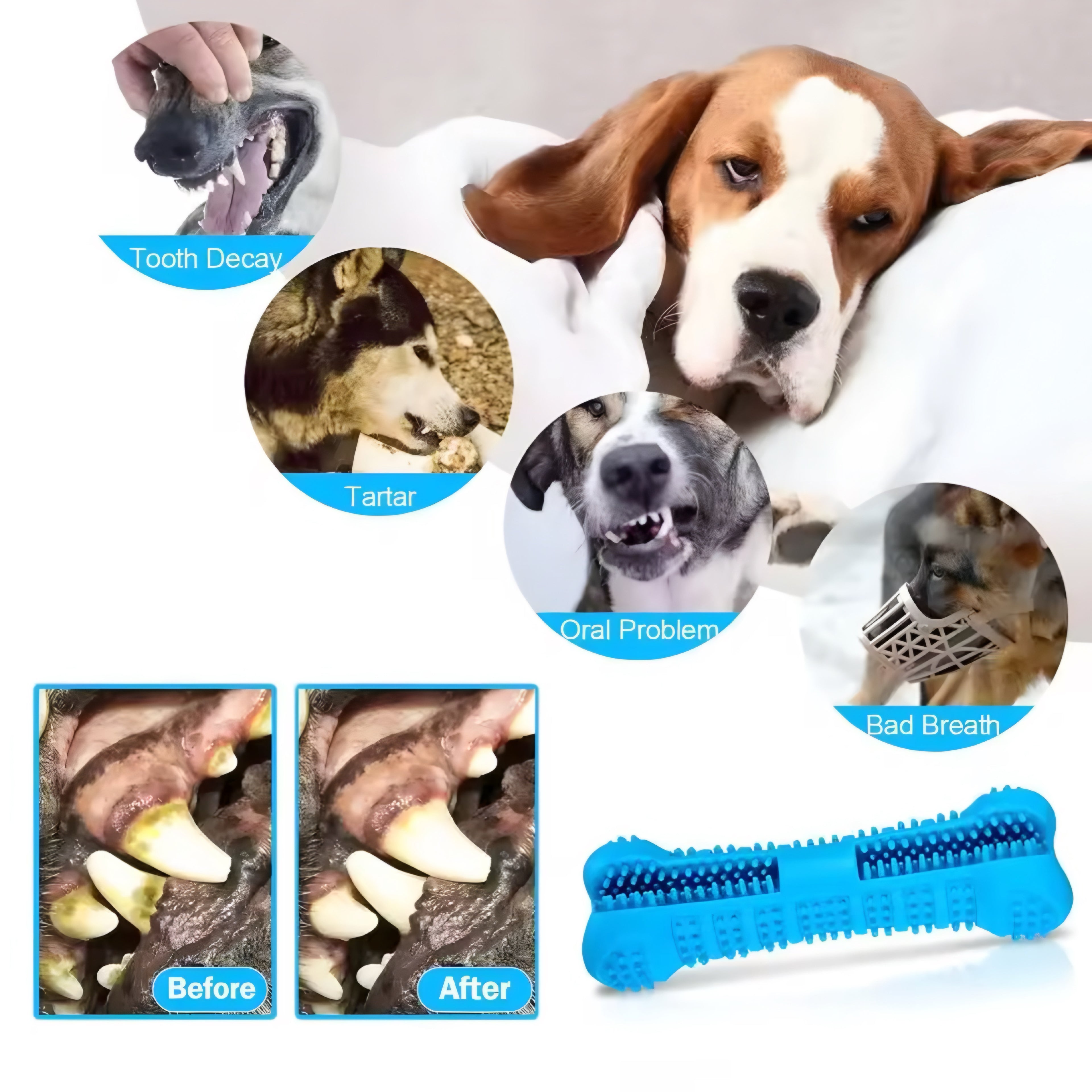 Cepillo de Dientes y Juguete Masticable 360°
